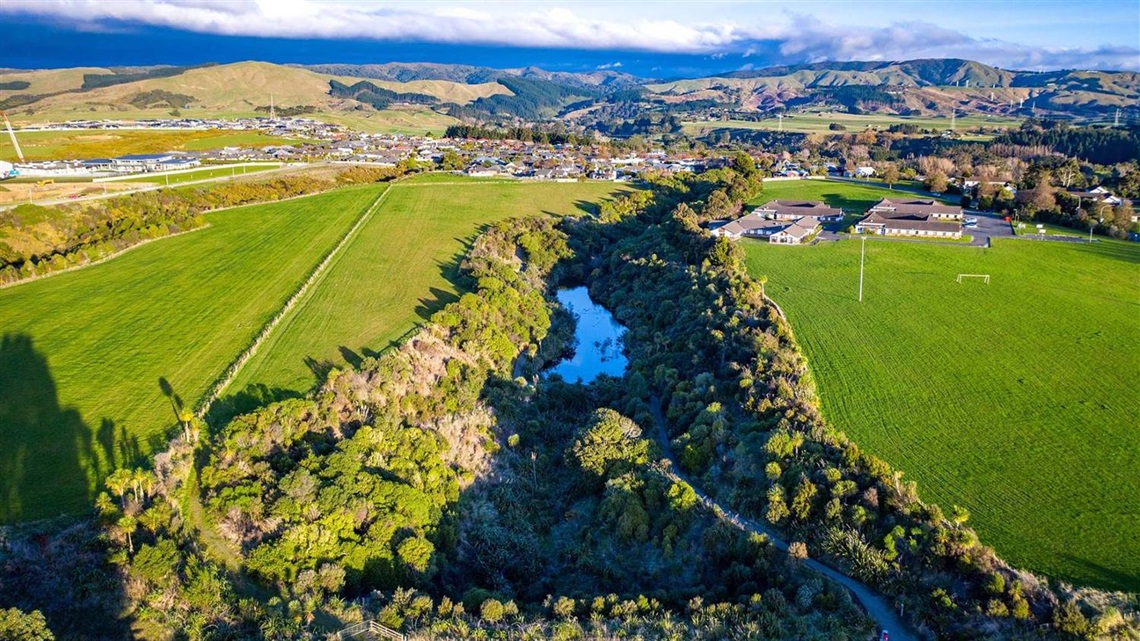 Photo shows aerial view of the reserve with grassy fields either side of a gully lined by native bush and a walkway running through it.